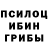 Псилоцибиновые грибы Psilocybine cubensis *RII TV*