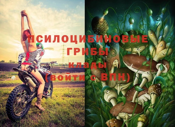 дурь Гусь-Хрустальный