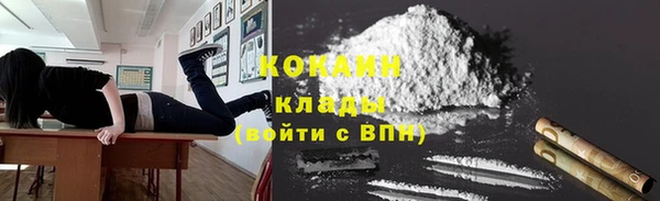 PSILOCYBIN Гусев
