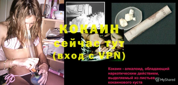 PSILOCYBIN Гусев