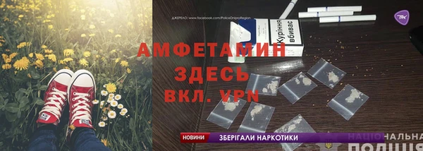 PSILOCYBIN Гусев
