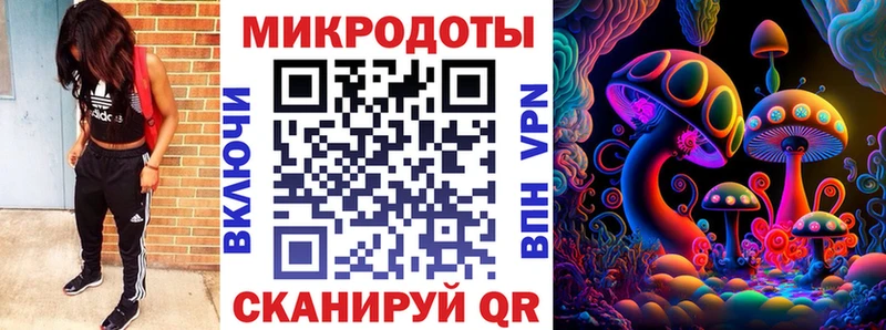 Галлюциногенные грибы Psilocybine cubensis Духовщина