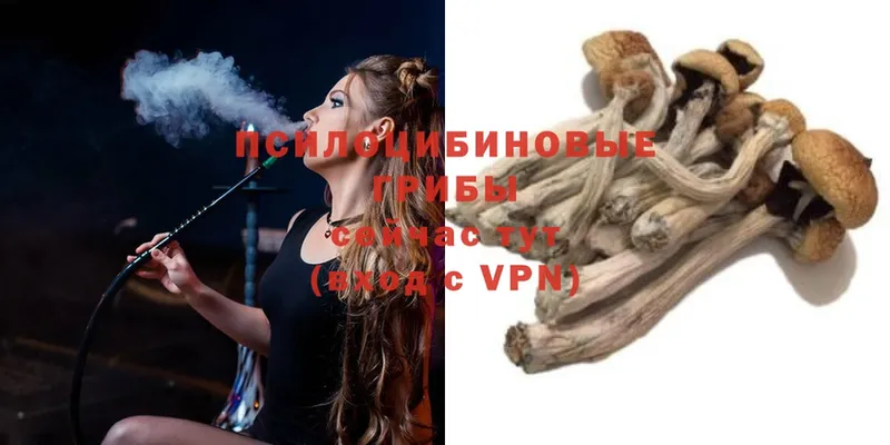 Псилоцибиновые грибы Magic Shrooms  Духовщина 